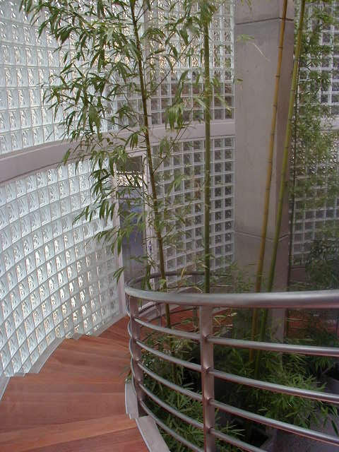 Olivos — foto 8