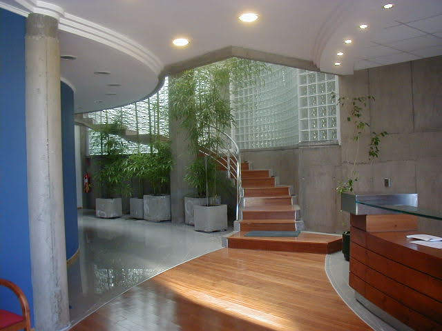 Olivos — foto 6