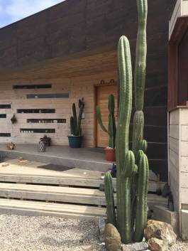  ochoquebradas Wolfesarq